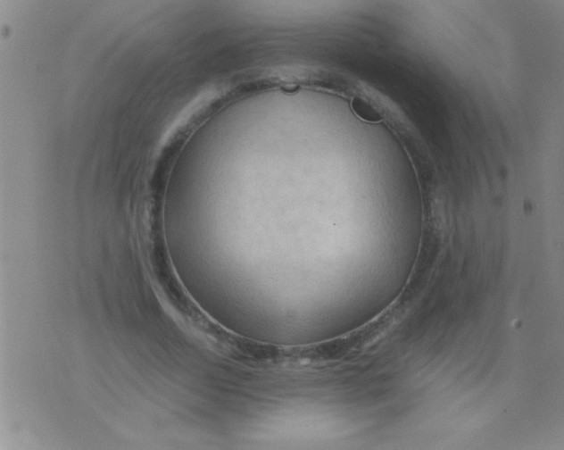 X0000075820730200610061756