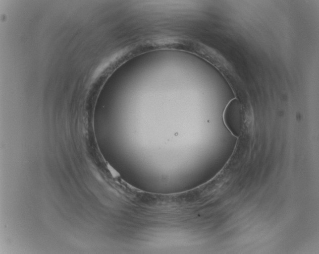 X0000075820732200610061756