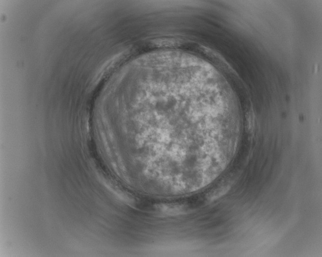 X0000075820733200610061756