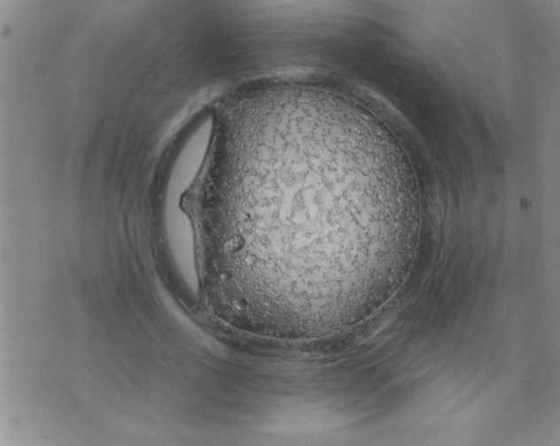 X0000075820734200610061756