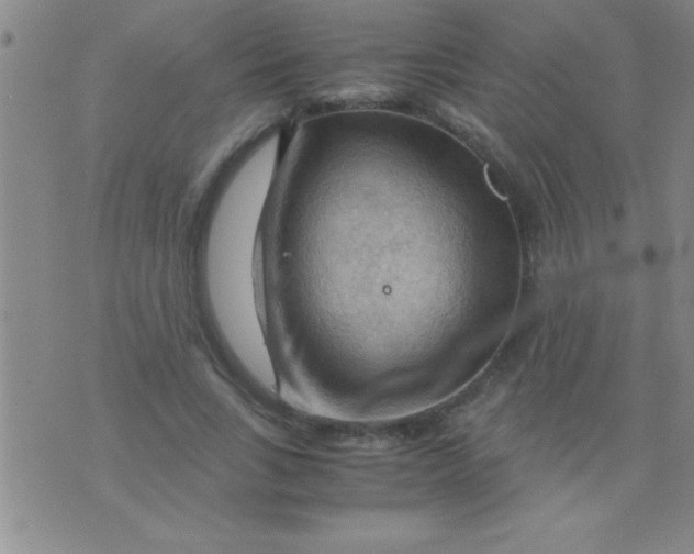 X0000075820735200610061756