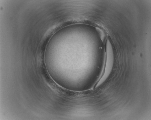 X0000075820736200610061756