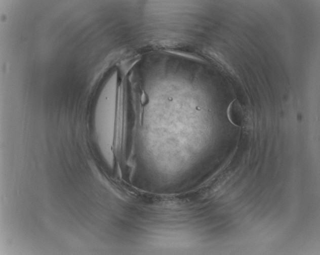 X0000075820738200610061756