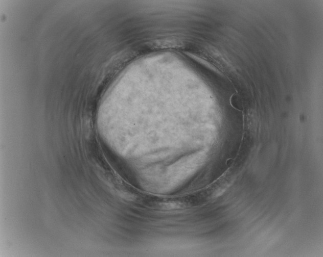 X0000075820741200610061756