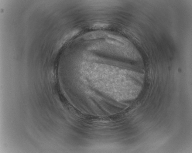 X0000075820743200610061756