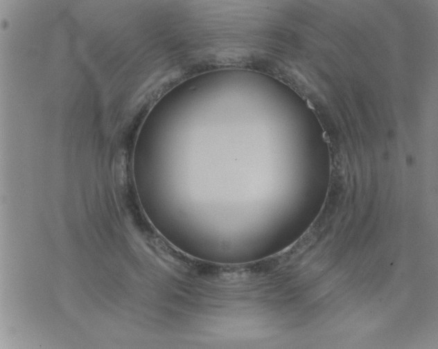 X0000075820744200610061756