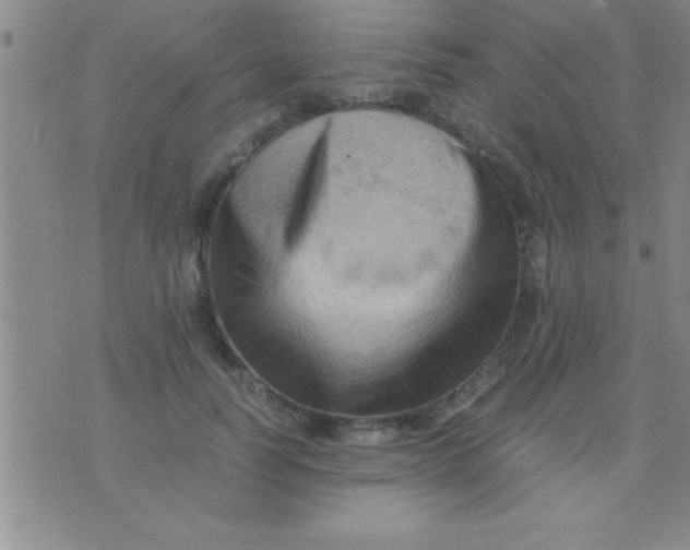 X0000075820746200610061756