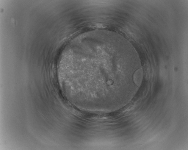 X0000075820747200610061756