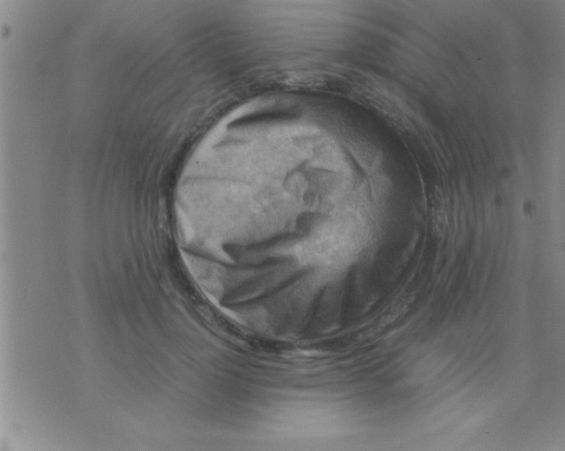 X0000075820748200610061756