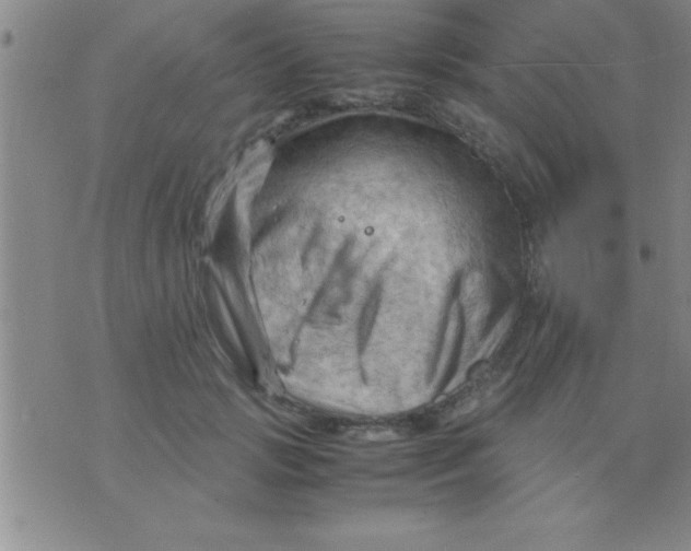 X0000075820749200610061756