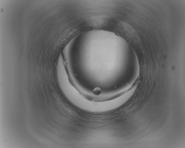 X0000075820750200610061756