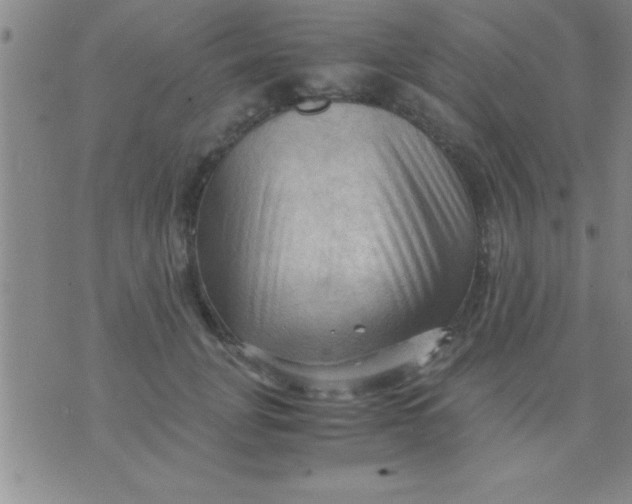 X0000075820751200610061756