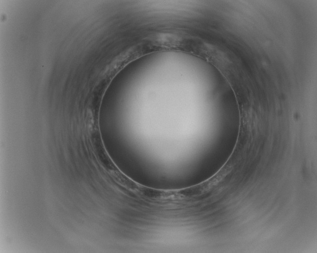 X0000075820752200610061756