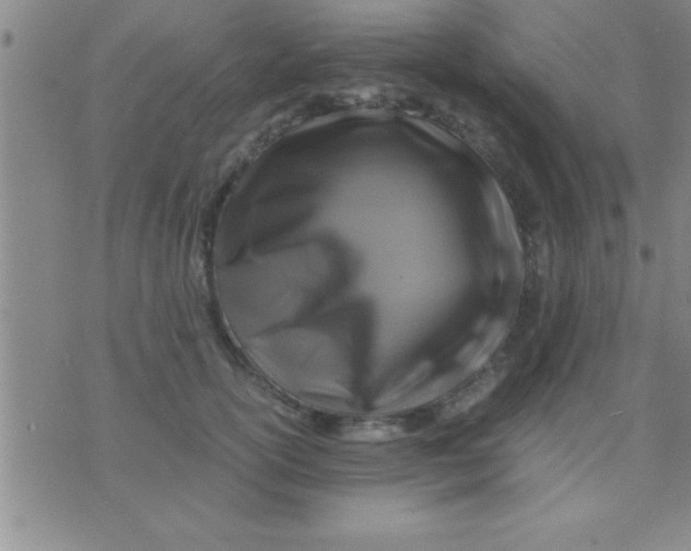 X0000075820754200610061756