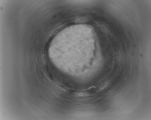 X0000075820755200610061756