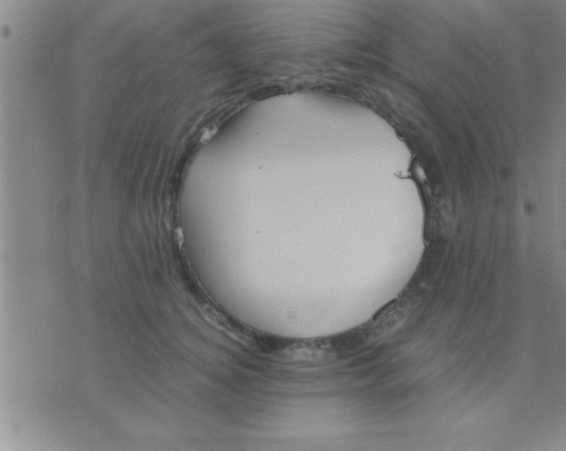 X0000075820756200610061756