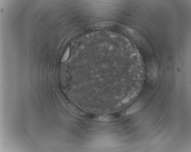 X0000075820758200610061756