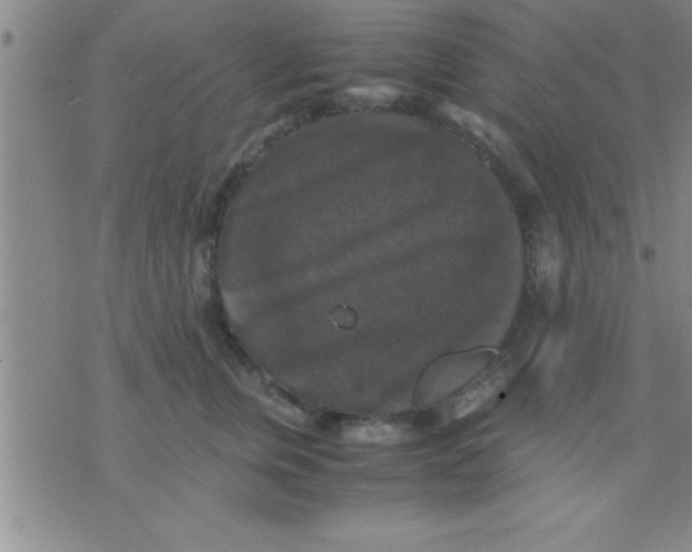 X0000075820759200610061756