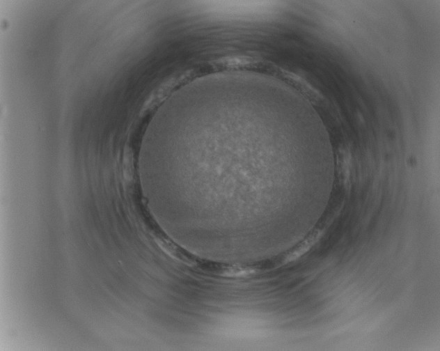 X0000075820760200610061756