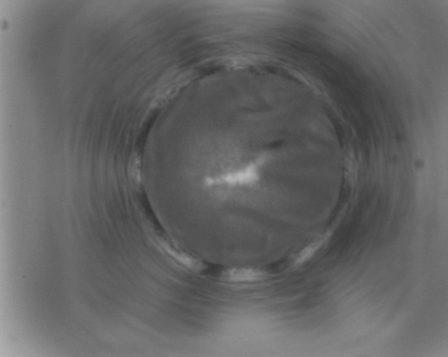 X0000075820766200610061757