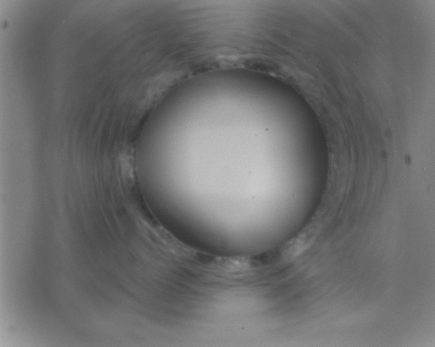 X0000075820768200610061757