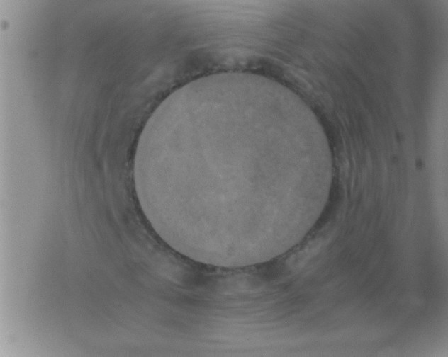 X0000075820769200610061756