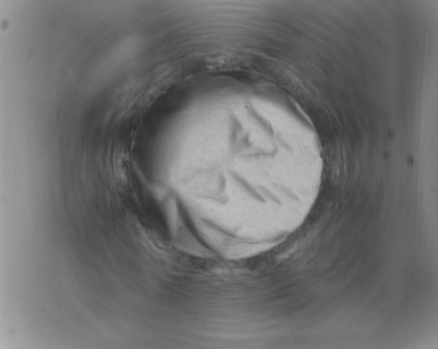 X0000075820770200610061756