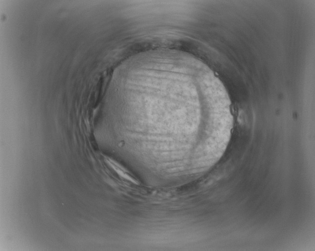 X0000075820771200610061756