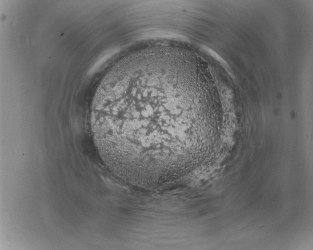 X0000075820775200610061756