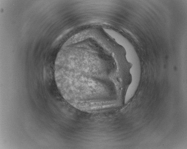 X0000075820776200610061756