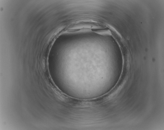 X0000075820777200610061756