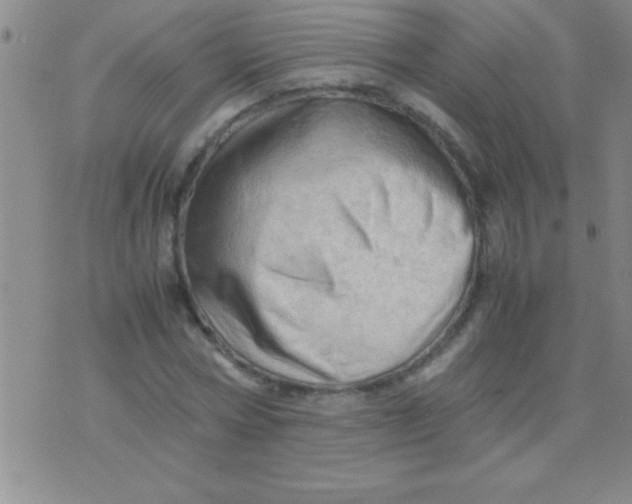 X0000075820778200610061756