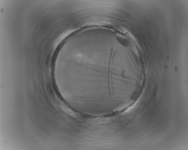 X0000075820779200610061756