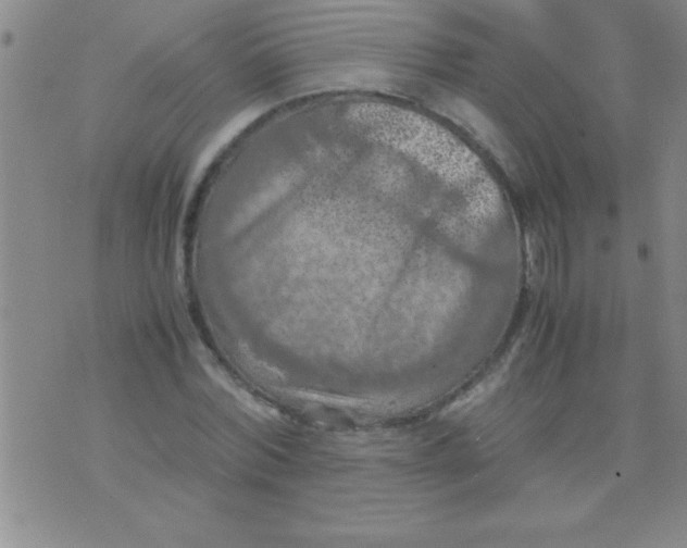 X0000075820780200610061756