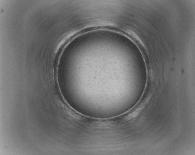 X0000075820781200610061756