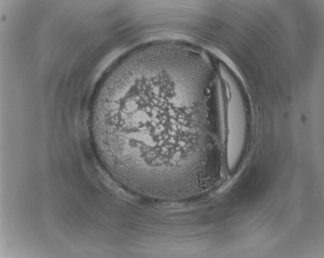 X0000075820783200610061756