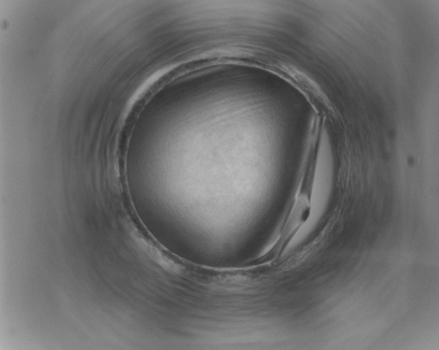 X0000075820784200610061756