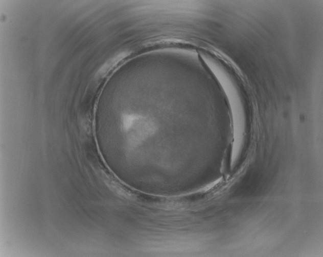 X0000075820785200610061756