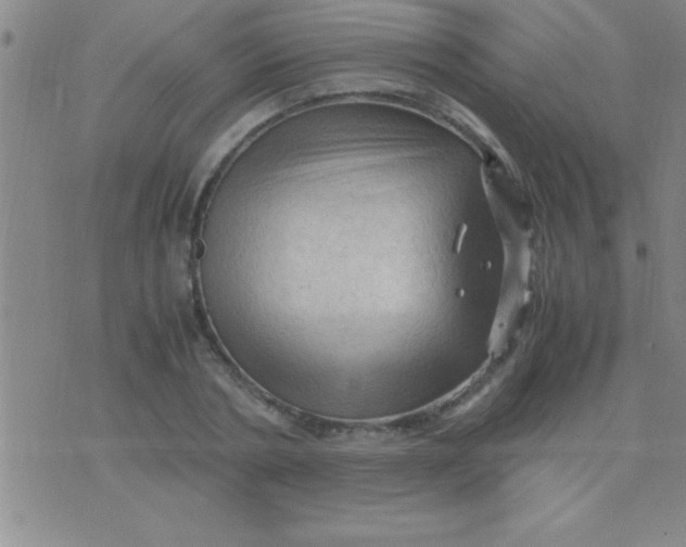 X0000075820786200610061756