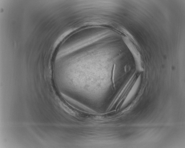 X0000075820787200610061756