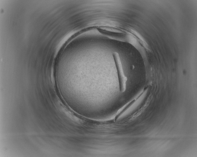 X0000075820788200610061755