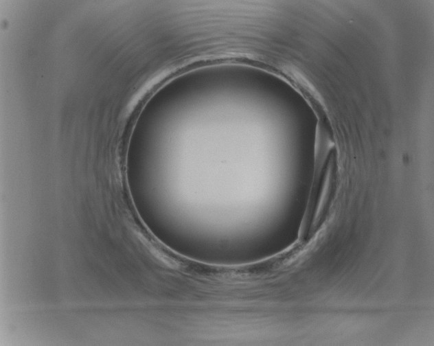 X0000075820789200610061755