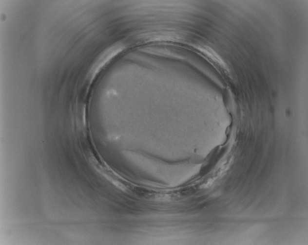 X0000075820790200610061755