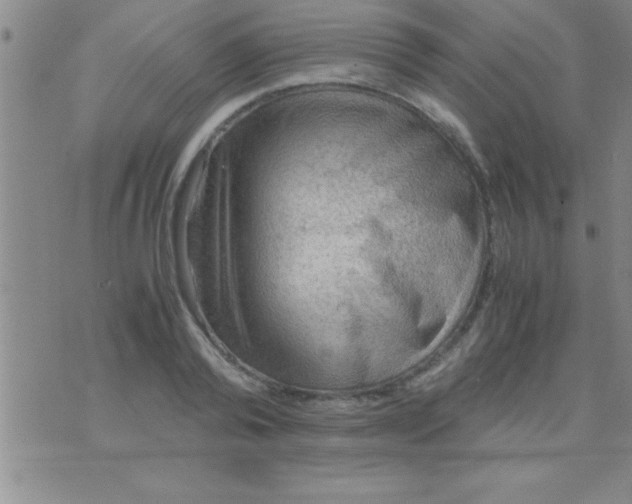 X0000075820792200610061755