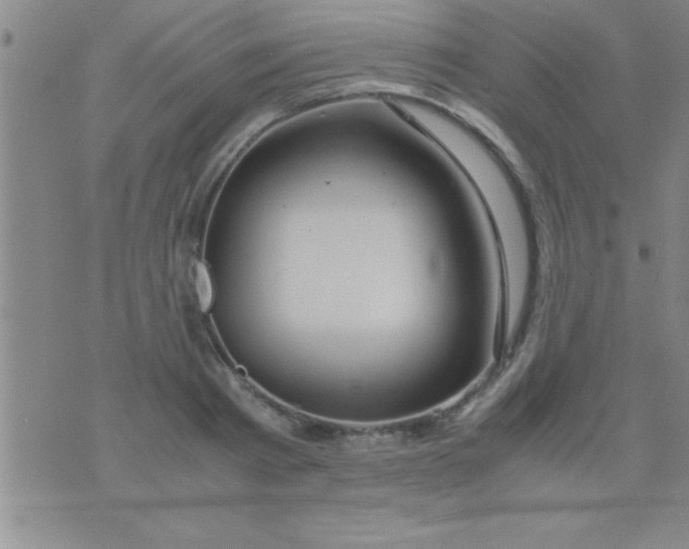 X0000075820793200610061755