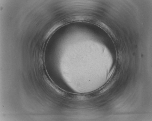 X0000075820794200610061755