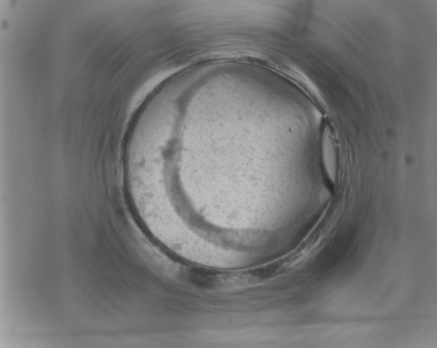 X0000075820795200610061755