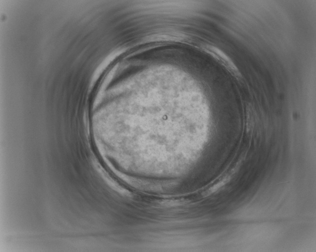 X0000075820796200610061755