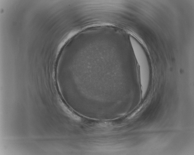 X0000075820797200610061755