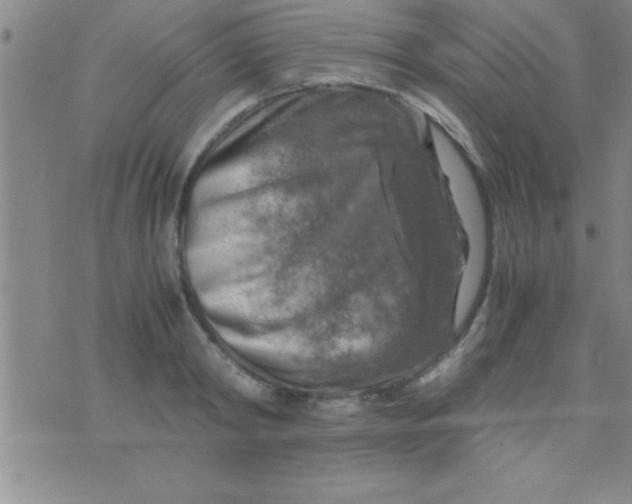 X0000075820798200610061755